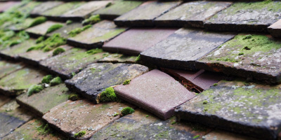 Leckhampstead roof repair costs
